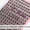 Fenshine Cluster Lashes, Individual Eyelashes