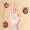 Quercetin Naturebell Quercetin 1000Mg Per Serving | 240 Capsules, Ultra