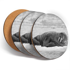 Destination Vinyl ltd Great Coasters (Set of 4) Round - BW - Wild Walrus Snow Arctic North Pole Animal Drink Glossy Coasters/Tabletop Protection for Any Table Type #43738