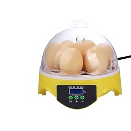 Semiautomatic Egg Incubators 7 Eggs Hatcher Digital Egg Incubator Automatic Temperature Control Egg Incubator Hatcher Machine