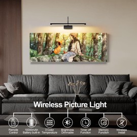 DarHorz Battery Operated Picture Light with Remote, 24 inch Wireless Rechargeable Art Light with Timer, Dimmable 3CCT Gallery Lighting for Paintings, Portraits, and Canvas (Black)