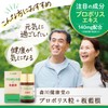 森川健康堂 プロポリス+板藍根 360粒