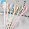 BSITSSS 6 Pieces Spoons Reusable, Pure Colour Teaspoons, Dessert Spoons