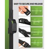 STAYGROW Lashing Straps with Buckles, 0.75'' x 48'' Tie Down