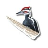 Earth Sky + Water - Pileated Woodpecker - 3.5_ Sticker