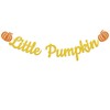 Little Pumpkin Baby Shower Banner - Fall Pumpkin Baby Shower