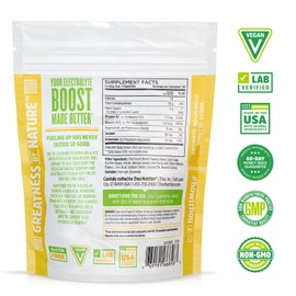 Zhou Nutrition Hydro-Fuel Electrolyte Gummies - Advanced Electrolyte Complex - Hydration and Cellular Energy Support Supplements - Vegan, 20 Servings, 60 Gummies