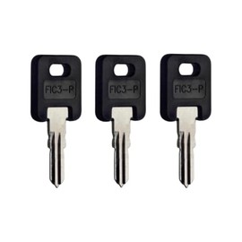 Global Link G362 Purple RV Keys (3 Keys)