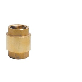 1 Brass Check Valve Floor Pump Submersible Pump