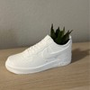 Sneakers Shoes Low Planter Pot 3D Printed- Pen Holder &
