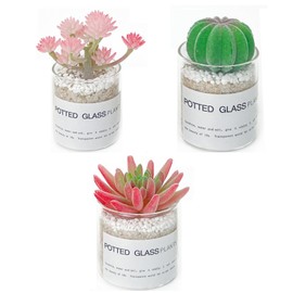 JEVA 3Set Artificial Succulent Plant with Glass Small Fake Plants for Room Decor Aesthetic Living Room Decor