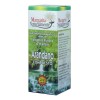 Arandano Compuesto Extracto 50 Ml Margarita Naturalmente
