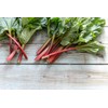 Seeds4planting - Seeds Rhubarb 35 Days Garden Red Heirloom Vegetable
