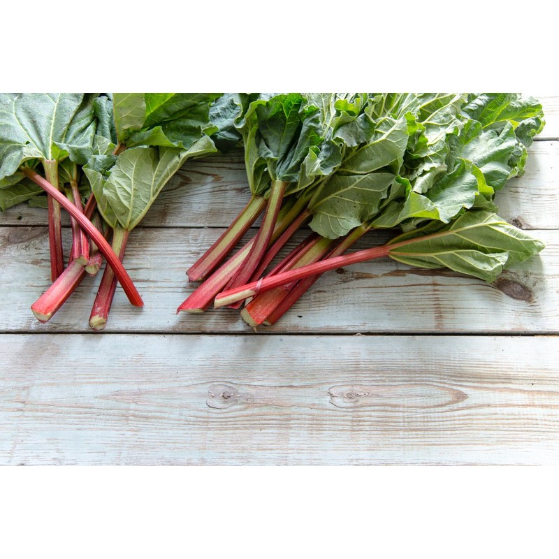 Seeds4planting - Seeds Rhubarb 35 Days Garden Red Heirloom Vegetable