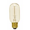 Satco S2417 40 Watt 160 Lumens T14 Incandescent Medium Base