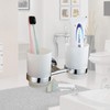 Toothbrush Glass Tumbler with Stainless Steel Holder Wall Mount Chromed