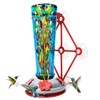 Window Hummingbird Feeder with 5 Strong Suction Cup 16 Ounces