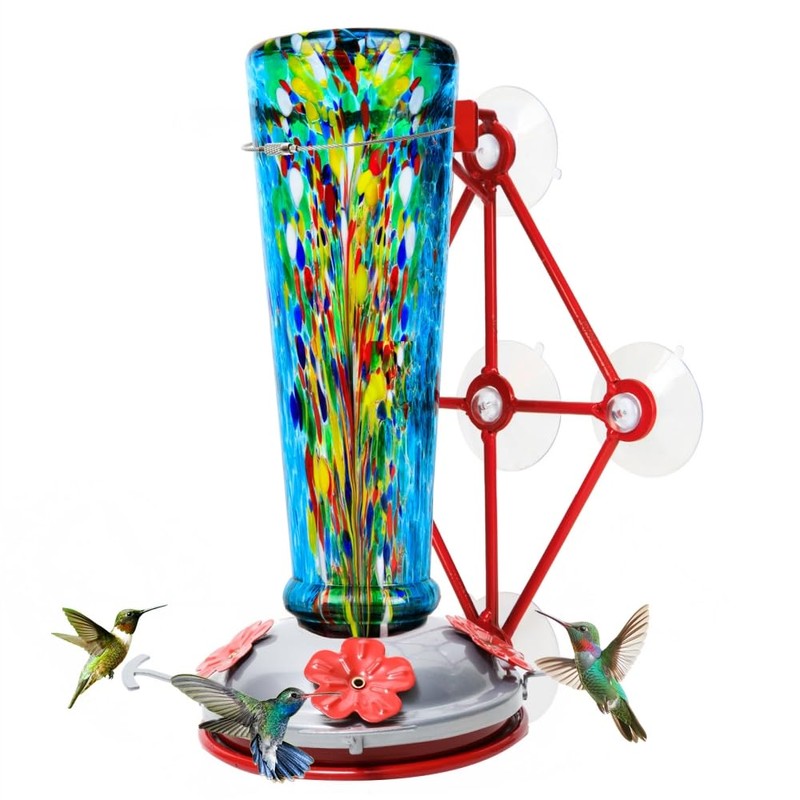 Window Hummingbird Feeder with 5 Strong Suction Cup 16 Ounces