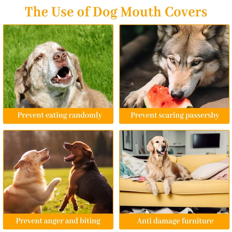 badaren Muzzle for Dogs, Medium Dogs, Labrador Muzzle Prevents Biting,