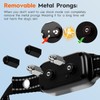 3 Dog Shock Collar with Remote,4200FT Dog Training Collar with