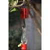 VIMOA Hummingbird Feeders Accessory Hooks Hanging Moats Hummingbird Feeder Insect