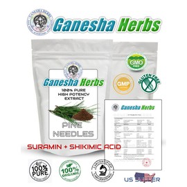 100% PURE PINE NEEDLE TEA CONCENTRATED EXTRACT POWDER SURAMIN SHIKIMIC ACID