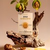 Honest Walnut Oil Brain Health Nutrient Capsules 60 Capsules, 1
