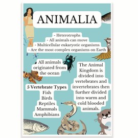 Animalia Classroom Poster - Science Biology Classroom Poster - 12 x 18 Inch - Classroom Decor - Classroom Must Haves - Back To School Decor - CPS0639