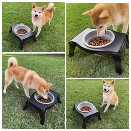 Tuff Pupper Elevated Dog Bowl | Single Raised Dog Bowl Holds 80oz/12cups Food/Water | Collapsible Dog Travel Bowl Folds for Easy Storage | Elevated Dog Feeder for Pet Travel