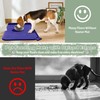 Silicone Pet Feeding Mats for Food & Water - Waterproof