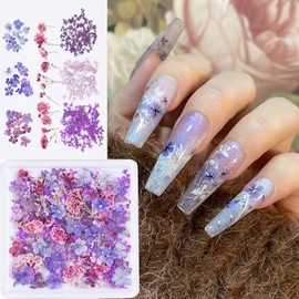 3D Dried Flowers for Nails, Spring Flower Nail Art Stickers 1Box Dried Flowers for Resin Crafts Colorful Small Natural Floral Dried Flower Decals for Summer Acrylic Nails Design Manicure Accessories
