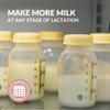 Holistic Lactation® Advanced Lactation Formula (30 Servings), Supplement to Support