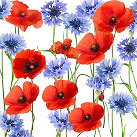 Tischdeko Pack of 20 napkins poppies flower meadow summer poppies