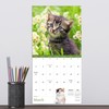 2026 Kittens Mini Calendar