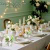 50 jabones hechos a mano para bodas, recuerdos de eucalipto