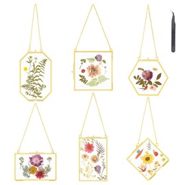 Varku 6 Pcs Gold Hanging Brass Glass Frames for Wall Decor, Floral Specimen Display, Transparent Storage Photo Frames, Perfect for Graduation Picture Frame Bulk, Includes Tweezers