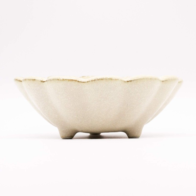 Kaneko Kohei 555-0004 Mino Ware 4.7 inches (12 cm) Bowl,