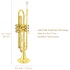 Trumpet Instrument,Band & Orchestra Musical Instruments for Beginners,With trumpets case,Mouthpiece,Cloth