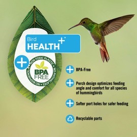 More Birds Bird Health+ Big Gulp Hummingbird Feeder, Glass Hummingbird Feeders for Outdoors, 5 Feeding Stations, 40 Ounces