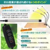 BSG Sangyo Plant Growing Light, LED (Japanese Brand) 100W Equivalent,