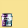 Beyond Paint Furniture, Cabinets and More All-in-One Refinishing Paint –