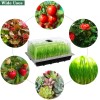Hahood 6 Packs Seed Starter Tray Kits with Humidity Dome,