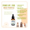 Phytopet Milk Thistle Tincture | 100ml | Liver & Gallbladder