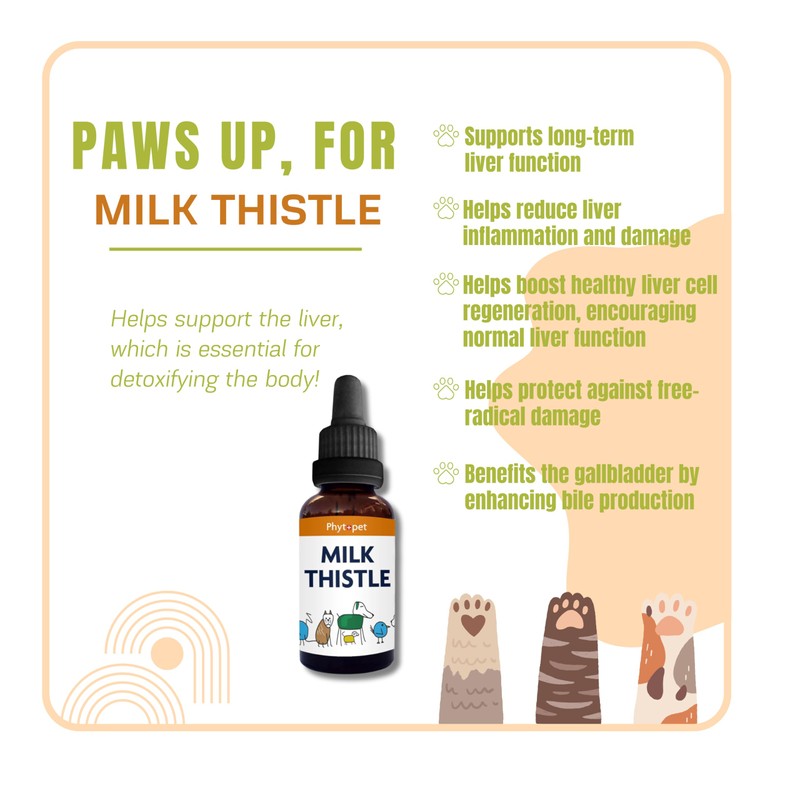 Phytopet Milk Thistle Tincture | 100ml | Liver & Gallbladder