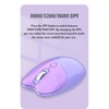 Wireless Cat Mouse, 1000 1200 1600 3 Levels DPI 2.4G