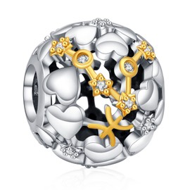 Annmors 12 Constellation Birthstone Charm for Bracelet & Necklace 925 Sterling Silver 12 Zodiac Sign Pisces with CZ Charm Bead fit European Bracelet Christmas Birthday Gifts for Women Girls Family