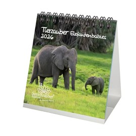 Tierzauber Elephant Babies Desk Calendar 10 cm x 10 cm for 2026 Elephants – Set Contents: 1 x Calendar, 1 x Christmas Pendant, 1 x Greeting Tag (Total 3 Pieces)