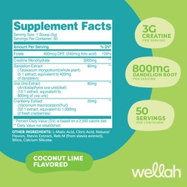 Wellah Creatine for Women - Creatine Monohydrate with Dandelion & Cranberry Extract (50 Servings, Coconut Lime)