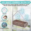 House Transparent Window Wild Bird Feeder Outdoor Removable Suction Cups