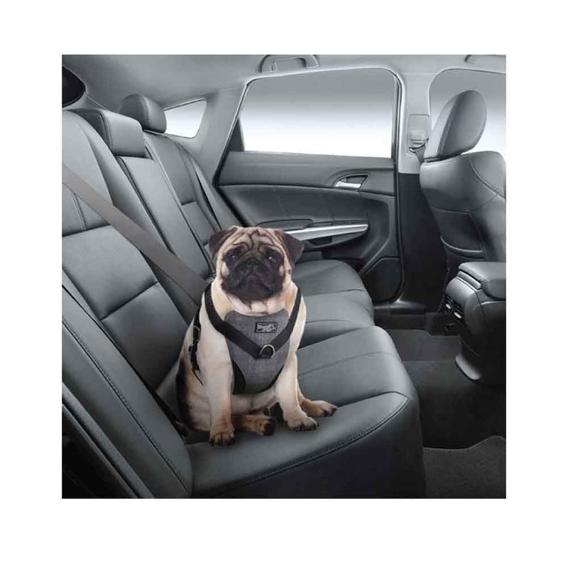 ALL FOR PAWS Travel Dog Harness for Safe Rides and